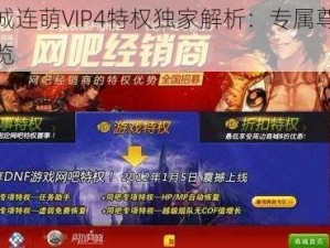 地下城连萌VIP4特权独家解析：专属尊贵体验一览