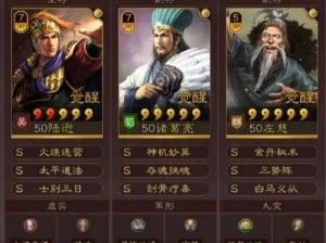 三国志战略版：最强输出阵容揭秘与实战解析