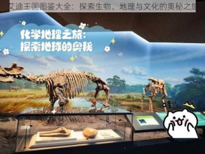 艾迪王国图鉴大全：探索生物、地理与文化的奥秘之旅