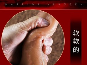 中国Gay自慰：专业提供男性健康解决方案