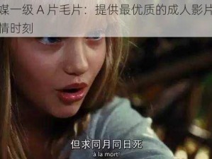 果冻传媒一级 A 片毛片：提供最优质的成人影片，让你尽享激情时刻