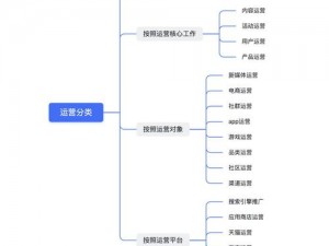 创建并运营校家公司的核心职责与角色解析