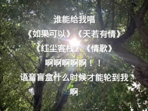 抖音热歌揭秘：温柔旋律中的秘密情歌 —— 一朵花传来谁经过的温柔背后故事揭晓