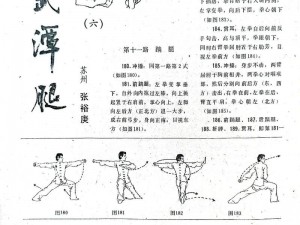 七十二招式图片——详细解析武术精髓