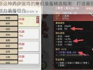 命运神界伊贺鸣的终极装备精选指南：打造最强战力装备组合