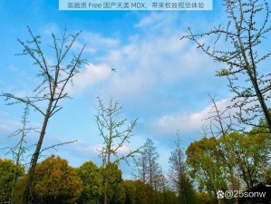 高画质 Free 国产天美 MDX，带来极致视觉体验