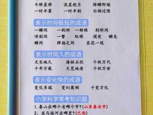 泡沫回忆杂学答案攻略大汇总：知识与趣味交融的知识宝典