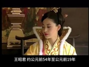 王昭君电视剧免费观看全集，领略历史美人的传奇人生