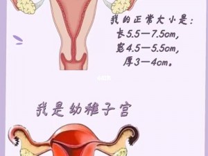 幼稚子宫才刚开始发育，xx 胶囊，呵护女性健康，让子宫发育不再困难