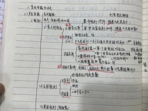 关于酒神阴阳冕新手常见疑问解答的FAQ指南