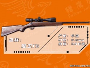 esuuse 步枪区——提供高精度射击体验的专业武器