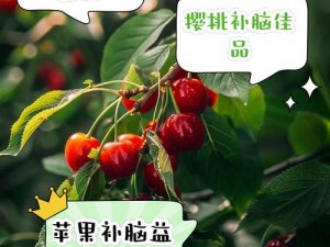 樱桃黄软件，集多种实用功能于一身的生活好帮手