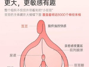 女人 Z0Z8 牛 A 交——让你体验前所未有的激情快感