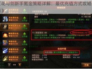 《花与剑新手氪金策略详解：最优充值方式攻略指南》