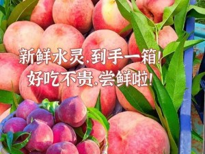 水蜜桃 2：多汁甜蜜的水果之选