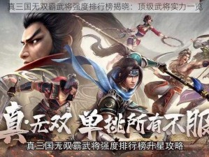 真三国无双霸武将强度排行榜揭晓：顶级武将实力一览