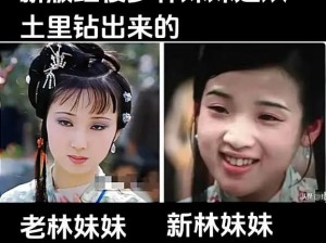 林妹妹linux—林妹妹 linux：她是否是你心中的女神？