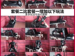 一款调教 bdsm 文的产品介绍