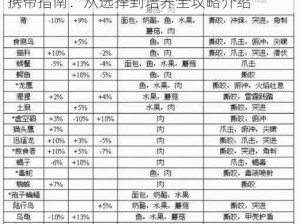 魔兽世界怀旧服TBC时代猎人最佳宠物宝宝携带指南：从选择到培养全攻略介绍