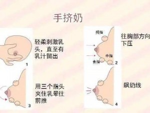 日本哺乳期哺乳专用 xym，促进乳汁分泌，提升哺乳质量