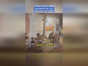 老狼信息网贰佰信息网金属仙踪林—老狼信息网贰佰信息网金属仙踪林，一个充满神秘与诱惑的网络世界