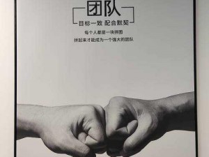 合作卧虎藏龙：揭秘最炫技能组合，协作共赢展现无限潜力