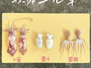 探索海洋生物奥秘：鱿鱼行为特点揭秘与养殖方法分享