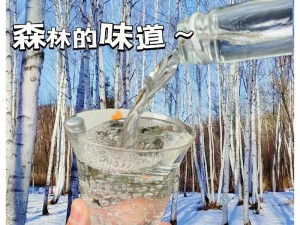 品尝鲜美森林，感受自然的馈赠