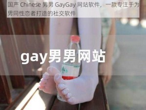 国产 Chinese 男男 GayGay 网站软件，一款专注于为男同性恋者打造的社交软件