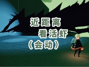 光遇皮皮虾应对攻略大全：躲避技巧与失落光翼找回指南