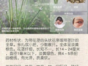 嫩草精产一二三产区、嫩草精的一二三产区都有哪些？