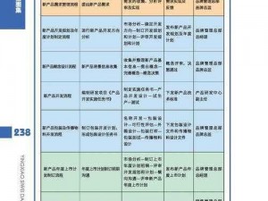 新版本上线晚间实施策略与安排概览