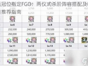 命运冠位指定FGO：两仪式杀阶阵容搭配及精美礼装推荐指南