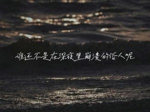 夏天逝去，留下抖音无水印高清表情包：夜晚星辰，只愿那唯一闪亮的黑色你脸映心头