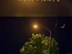 男子深夜睡不着想看点东西，发现了一款神器——短视频 APP