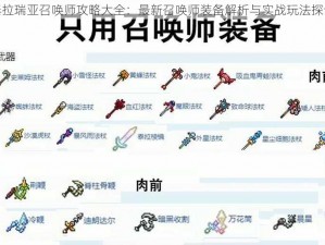 泰拉瑞亚召唤师攻略大全：最新召唤师装备解析与实战玩法探讨