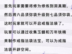 关于修真戒指法袋的开启方法及其实用解析