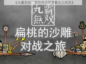 《丸霸无双：游戏亮点尽显霸主之风范》