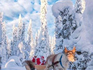 冰原守卫者的驯鹿雪橇危机处理策略：如何面对数量升级的双重挑战？