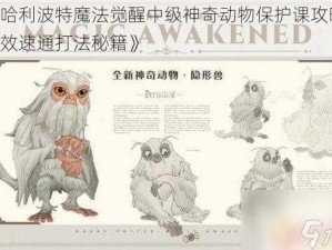 《哈利波特魔法觉醒中级神奇动物保护课攻略：高效速通打法秘籍》