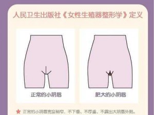 淫淫社区背后的秘密：是成人内容还是其他？