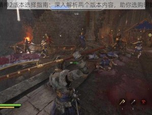 骑士精神2版本选择指南：深入解析两个版本内容，助你选购明智之选