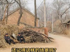 柴火垛里的疯狂 55 集：探索未知的神秘世界