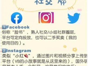 推特免费下载，海外用户都在用的社交媒体 APP