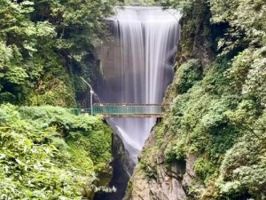 边境探险之旅：探寻海狸踪迹，伊甸园瀑布那多的自然秘境探索