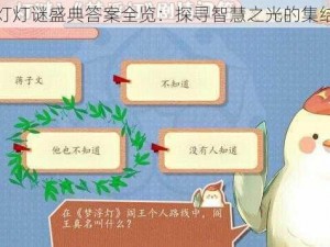 梦浮灯灯谜盛典答案全览：探寻智慧之光的集结盛宴