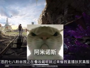 和平地铁下的无声守望者：老鼠人的微妙生存故事