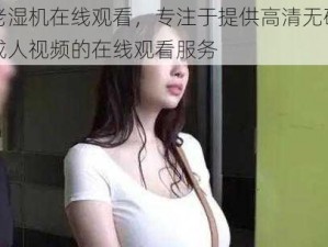 老湿机在线观看，专注于提供高清无码成人视频的在线观看服务