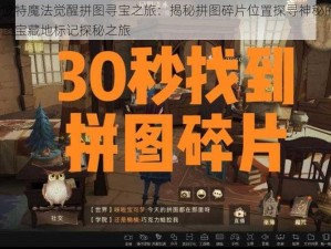 哈利波特魔法觉醒拼图寻宝之旅：揭秘拼图碎片位置探寻神秘的101号拼图宝藏地标记探秘之旅