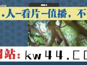 天天奭 5g 多少人免费版，一款热门的视频播放软件